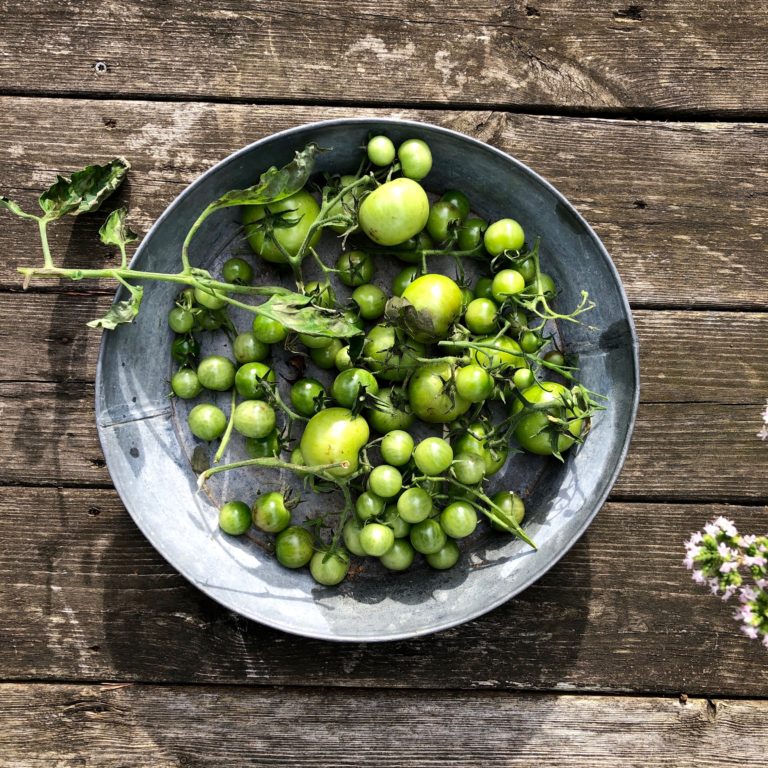 Gröna tomater – förvaring & mognad