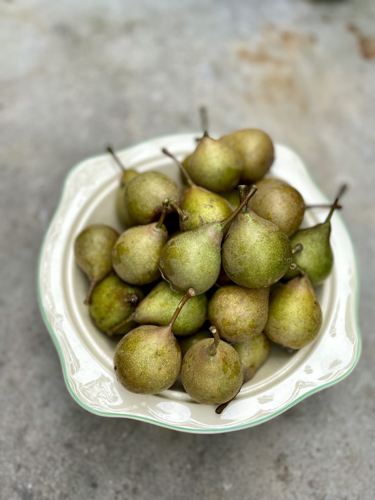 Päronpaj med vanilj, nötter & frön till kämpande päron!