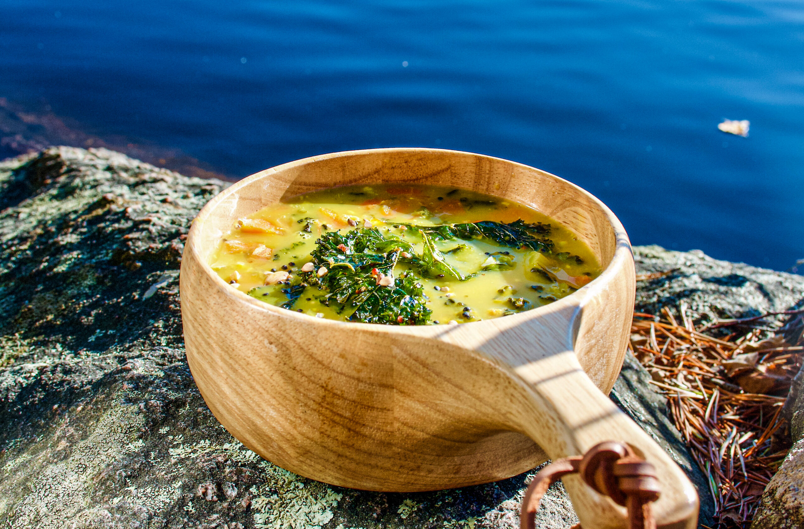 Kokosgryta på picknick