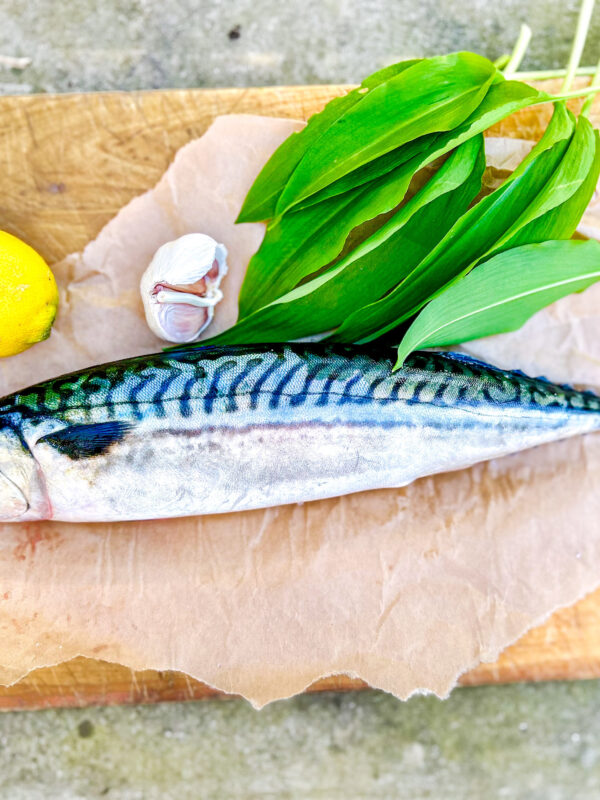 Helgrillad makrill med citron, ramslök & vitlök