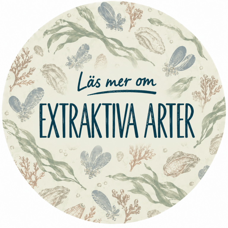 EXTRAKTIVA ARTER